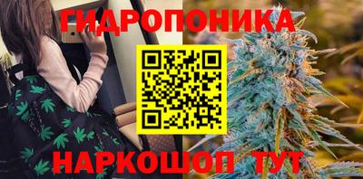 ГАЛЛЮЦИНОГЕННЫЕ ГРИБЫ Усть-Джегута