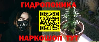тгк Усть-Илимск