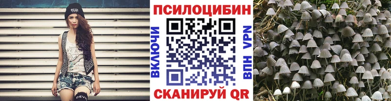 где можно купить Старый Оскол Псилоцибиновые грибы мухоморы
