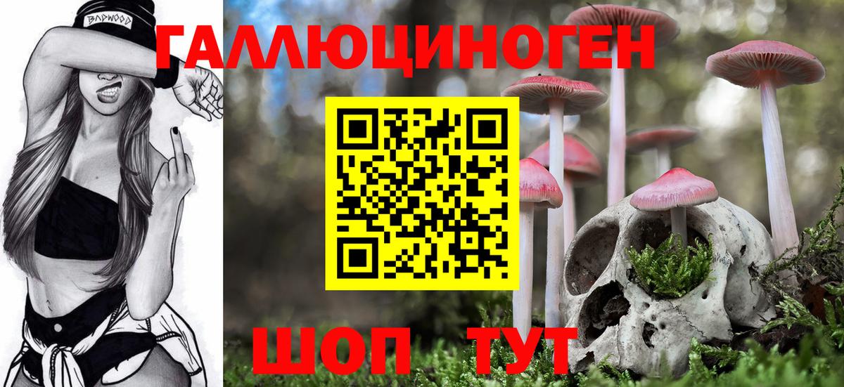 Галлюциногенные грибы прущие грибы Старый Оскол